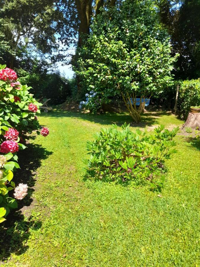 Bed and Breakfast La Clairière du Seignanx Saint-Martin-de-Seignanx Esterno foto