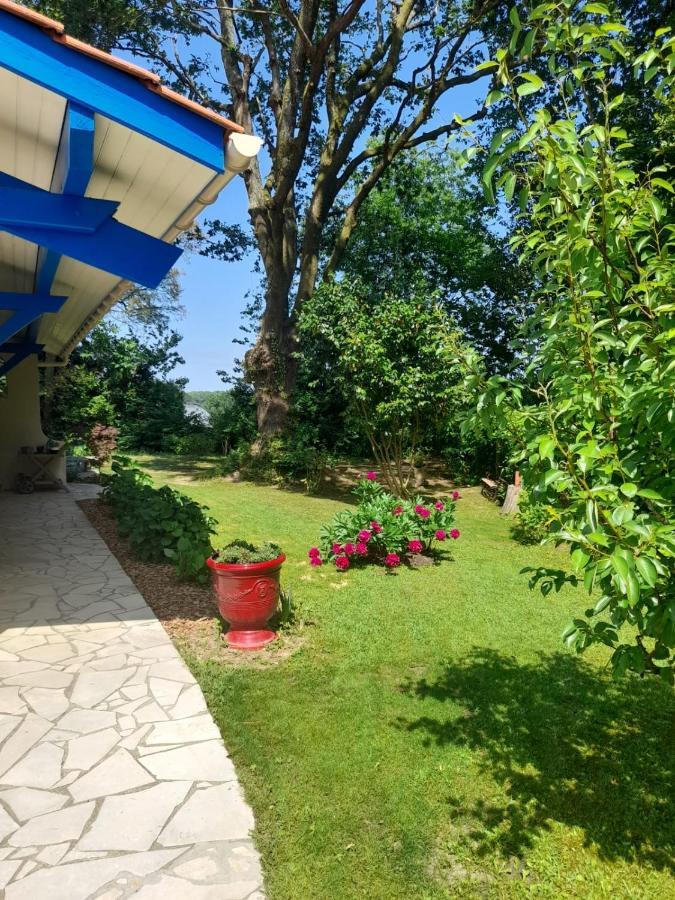Bed and Breakfast La Clairière du Seignanx Saint-Martin-de-Seignanx Esterno foto