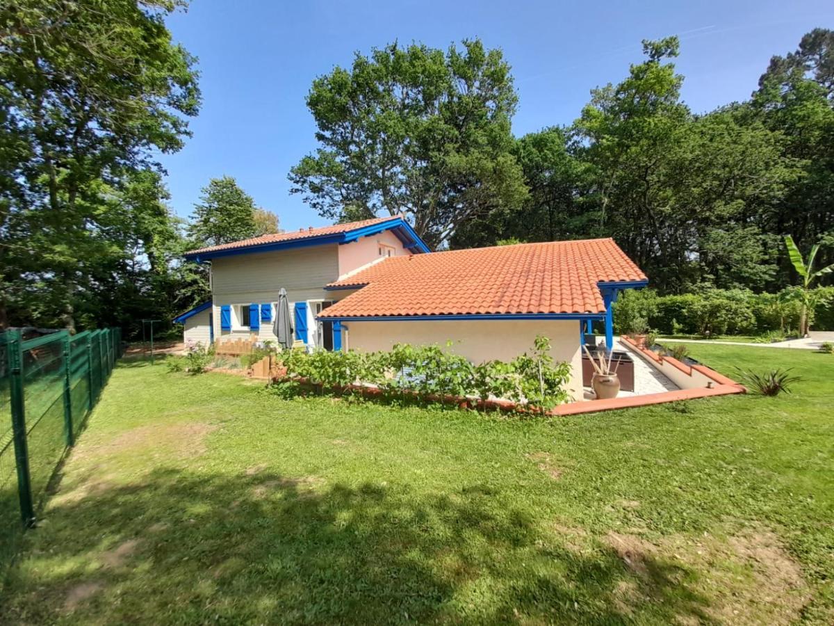Bed and Breakfast La Clairière du Seignanx Saint-Martin-de-Seignanx Esterno foto
