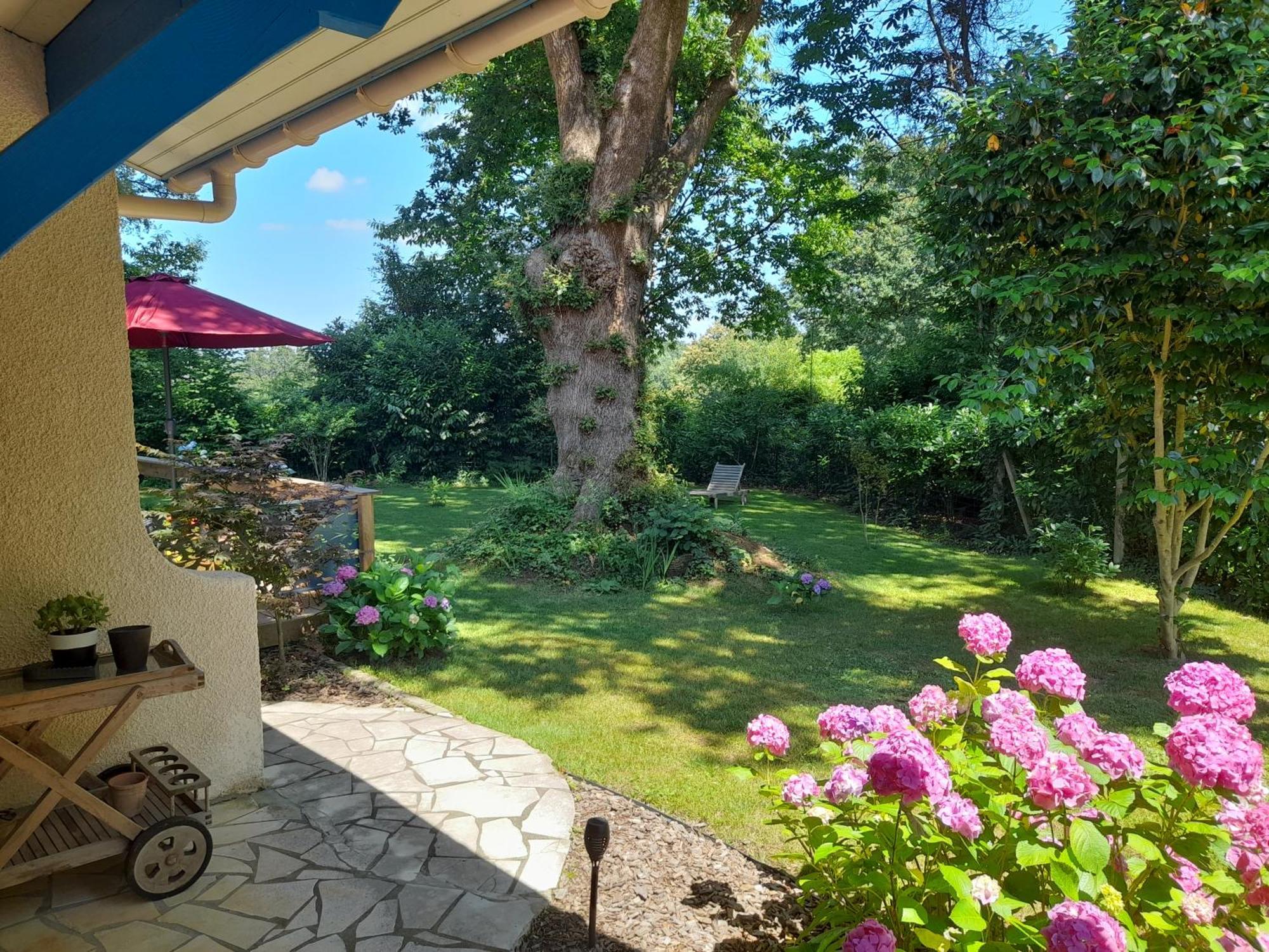 Bed and Breakfast La Clairière du Seignanx Saint-Martin-de-Seignanx Esterno foto